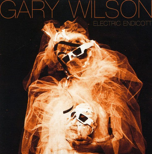 Gary Wilson - Electric Endicott [CD]