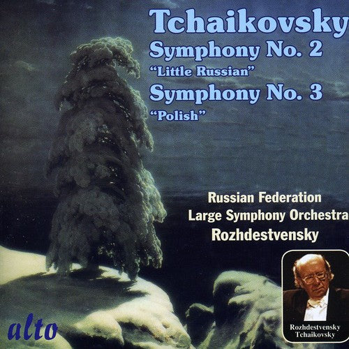 Large Symphony Orchestra of the Ministry of Culture & Russian Federation - Symphonies Nos. 2 [CD]