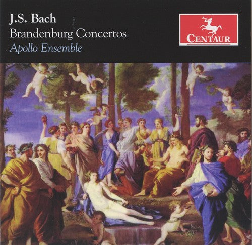 David Rabinovich - Brandenburg Concertos [CD]