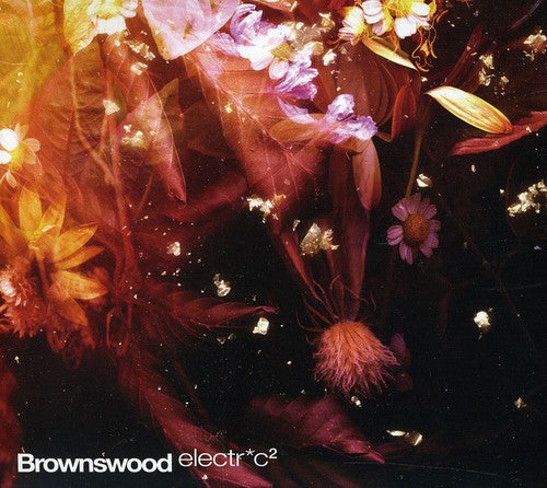 Brownswood Electric - Vol. 2-Brownswood Electric [CD]