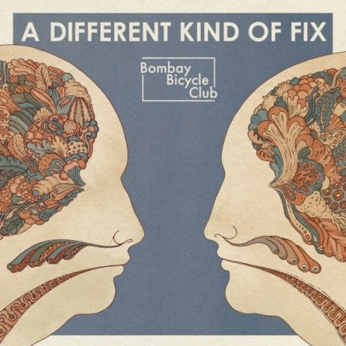 Bombay Bicycle Club - Different Kind Of Fix - Vinyl Record