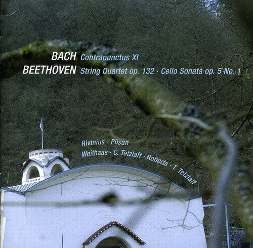 Beethoven / J Bach S / Tetzlaff / Weithaas - Chamber Works [CD]