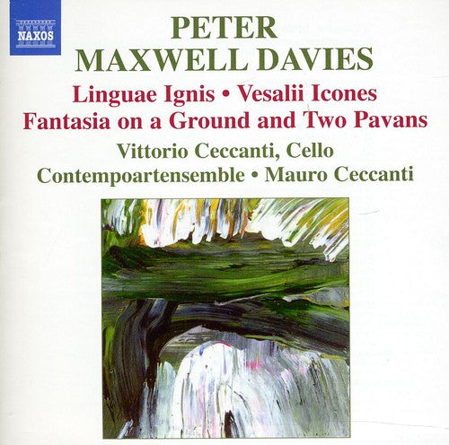 Vittorio Ceccanti - Linguae Ignis / Vesalii Icones / Fantasia [CD]