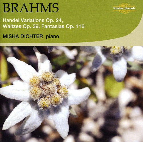 Brahms / Dichter - Handel Variations Waltzes & Fantasias [CD]