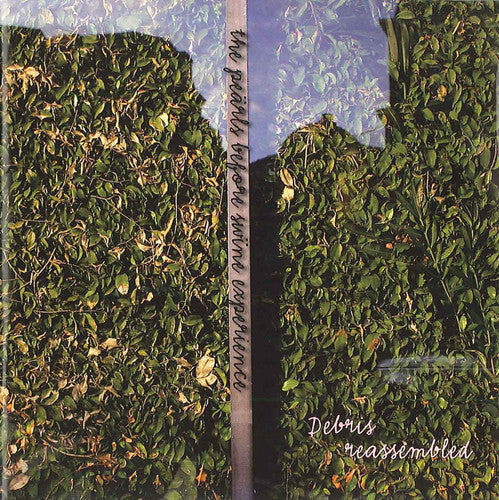 Pearls Before Swine Experience - Pearls Before Swine [CD]