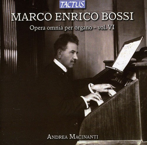 Andrea Macinanti - Complete Organ Works VI [CD]