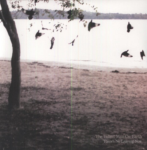 The Tallest Man On Earth - There's No Leaving Now [LP] Vinyl Record