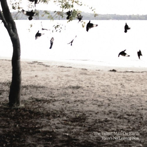 The Tallest Man On Earth - There's No Leaving Now [CD]