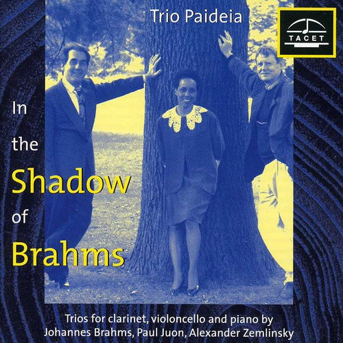 Brahms / Zemlinsky / Juon / Trio Paideia - Im Schatten Von Brahms 1 [CD]