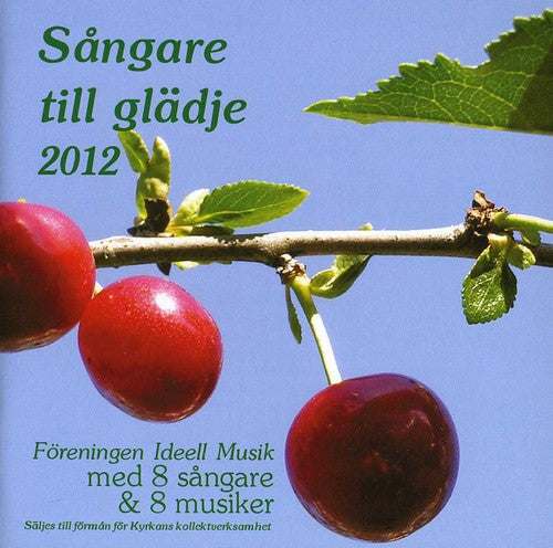 Sangare Till Gladje 2013 / Various - Sangare Till Gladje 2013 / Various [CD]