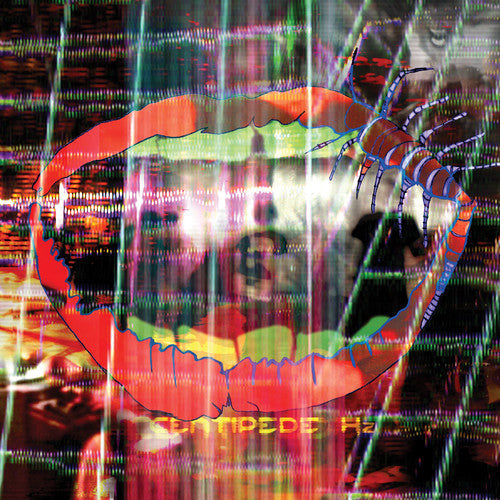 Animal Collective - Centipede Hz - Vinyl Record