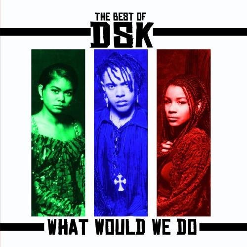 DSK - Best of: What Would We Do [CD]