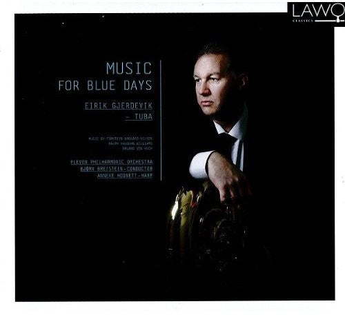 Koch / Gjerdevik / Hodnett - Music for Blue Days [CD]
