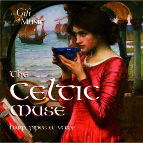 Traditional / S Hill / Amber Quartet - Celtic Muse [CD]