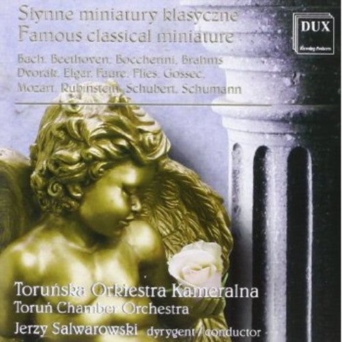 Bach / Schumann / Brahms / Schubert / Salwarowski - Famous Classical Miniatures [CD]