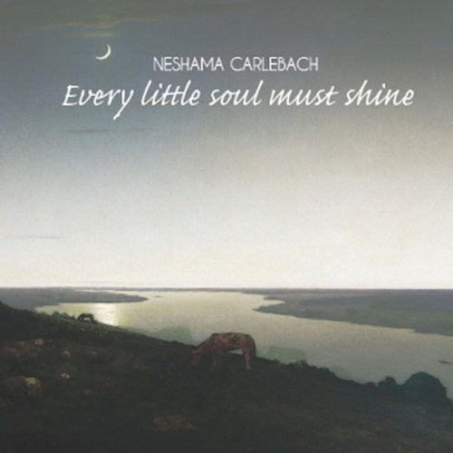 Neshama Carlebach - Every Little Soul Must Shine [CD]