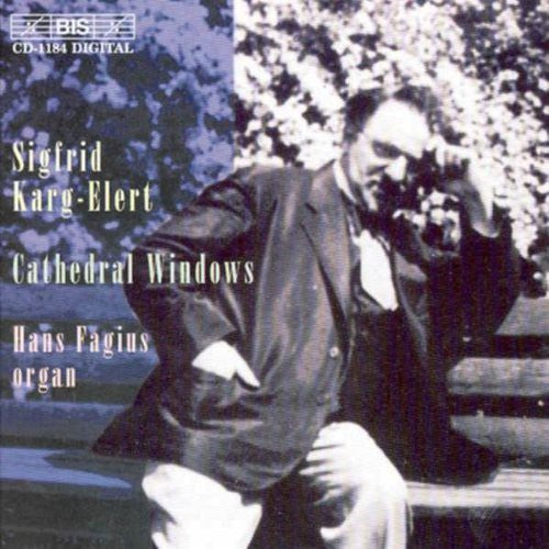 HANS FAGIUS - Organ Music 2 [CD]