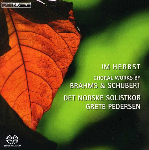 Norwegian Soloists' Choir - Nine Songs from Zigeunerlieder [CD]