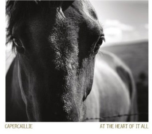 Capercaillie - At the Heart of It All [CD]