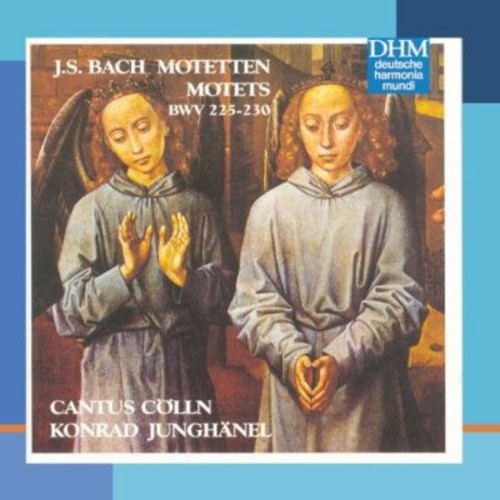 Bach / Junghanel / Cantus Colln - Motets BWV 225-230 [CD]