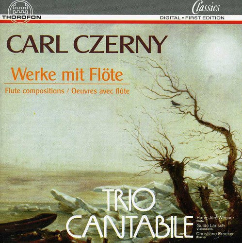 Cantabile - Fantasia / Concertante Opus 256 [CD]