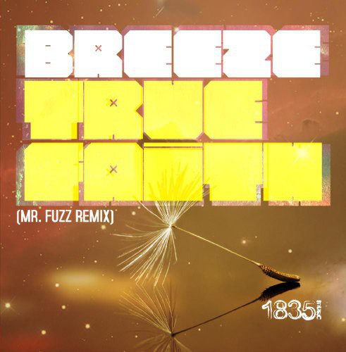 Breeze - True Faith (MR Fuzz Remix) [CD]