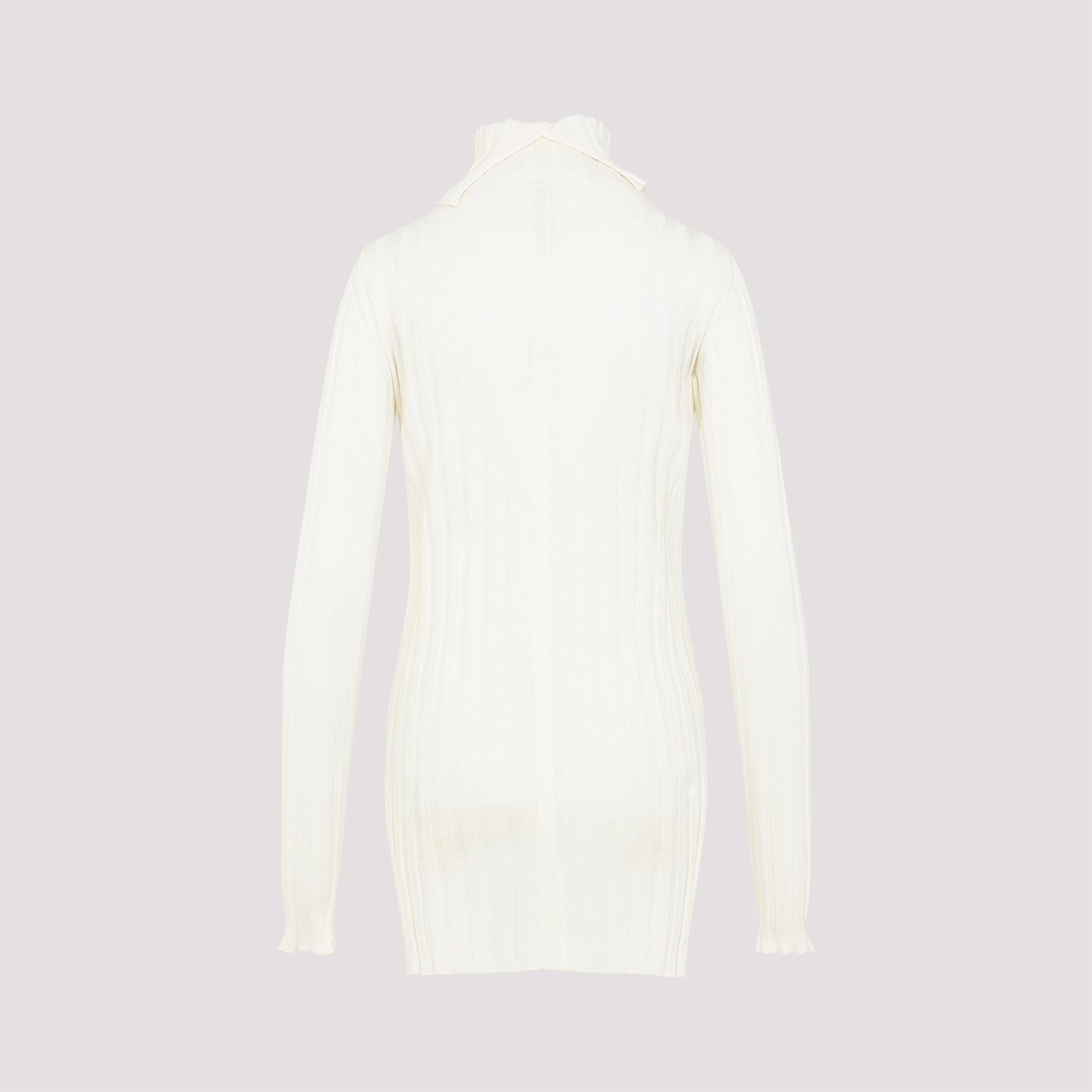 Carven Turtle Neck Underpinning Pullover Women