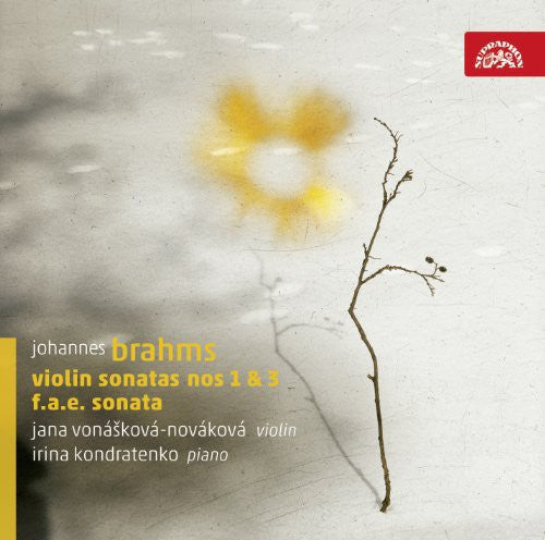 Brahms / Dietrich / Schumann / Vonaskova - Violin Sonatas [CD]