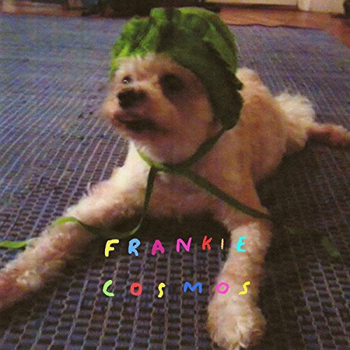 Frankie Cosmos - Zentropy - Vinyl Record