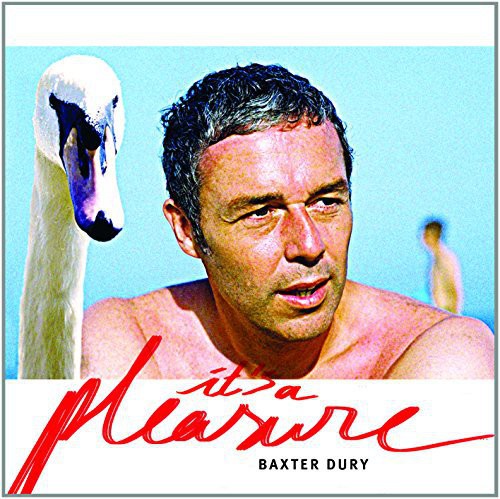 Baxter Dury - It's A Pleasure [Vinyl] Vinyl Record