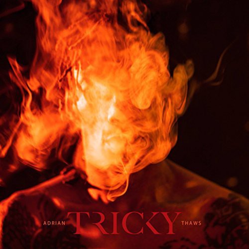 Tricky - Adrian Thaws - Vinyl Record