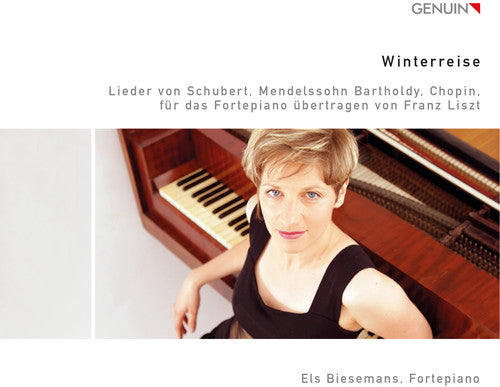 Liszt / Schubert / Chopin / Biesemans - Winterreise [CD]