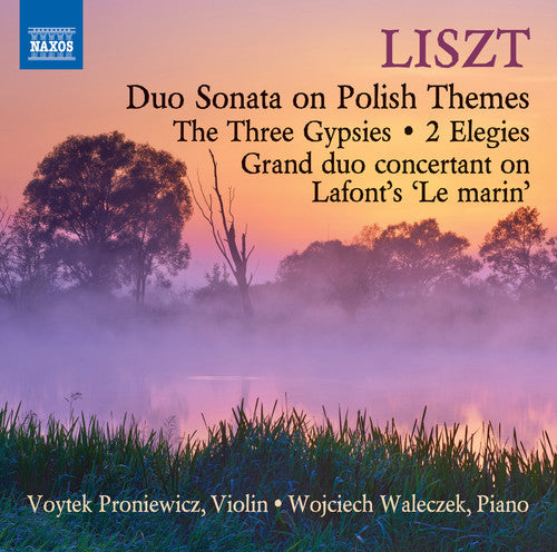 Liszt / Proniewicz / Waleczek - Music for Violin & Piano [CD]