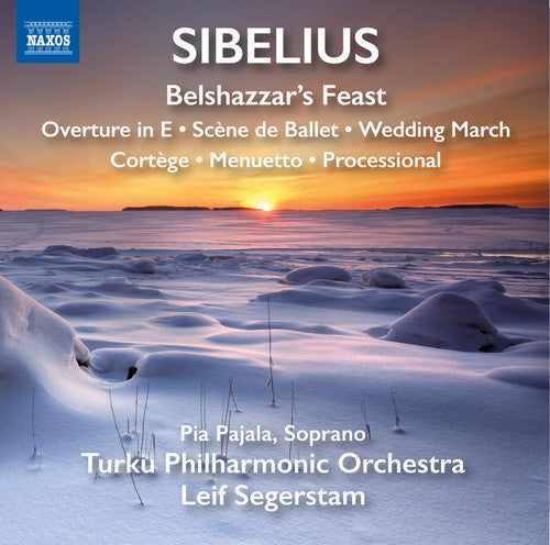 Sibelius / Turku Philharmonic Orchestra - Orchestral Works [CD]