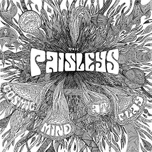 Paisley - Cosmic Mind At Play - Vinyl Record