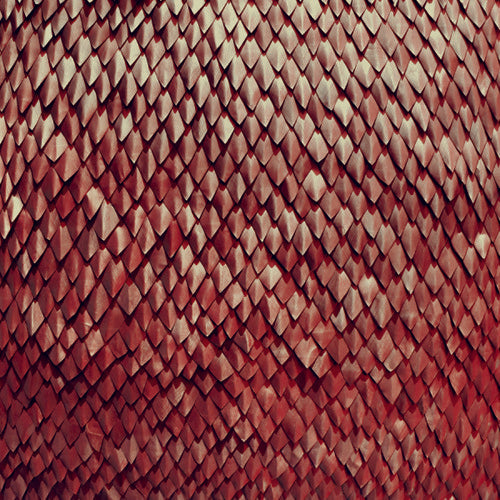 Kill The Vultures - Carnelian [CD]