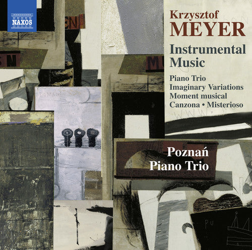 Meyer / Poznan Piano Trio - Meyer: Instrumental Music [CD]
