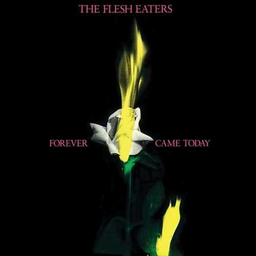 The Flesh Eaters - Forever Came Today [CD]