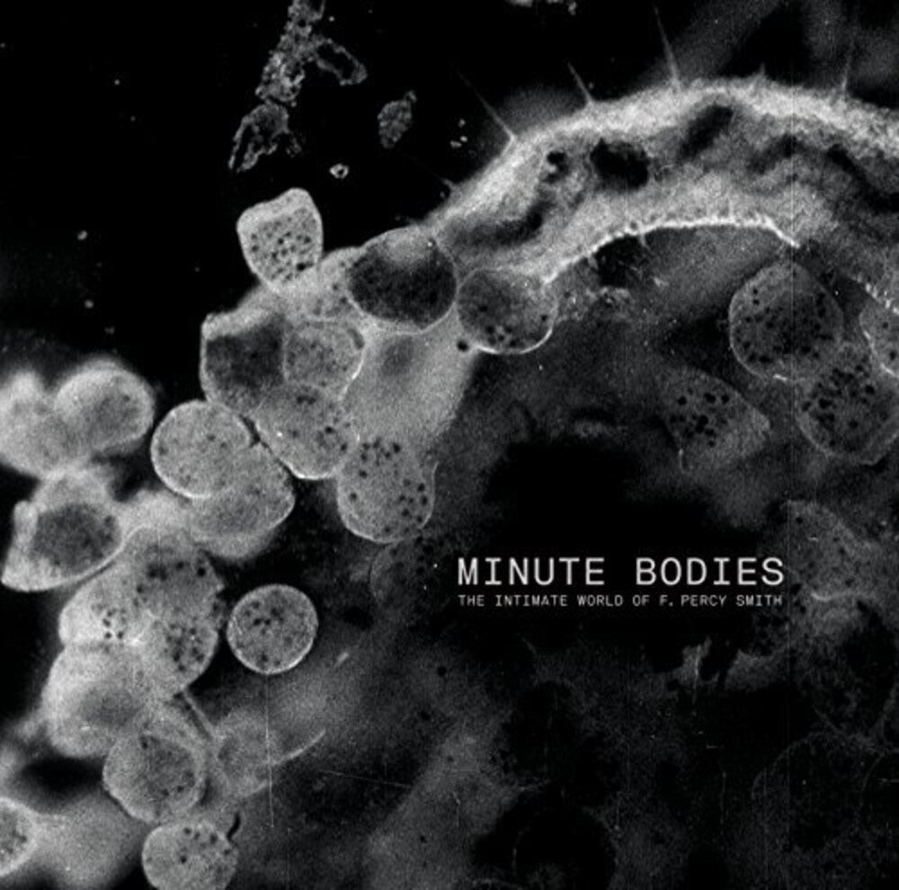 Tindersticks - Minute Bodies: Intimate World Of F. Percy Smith [CD]