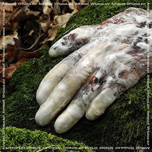 Antwood - Virtuous.scr - Music CD