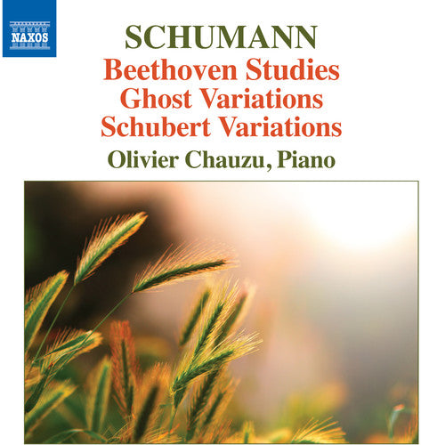Robert Schumann / Chauzu,Olivier - Beethoven Studies Ghost Variations & Schubert Variations [CD]