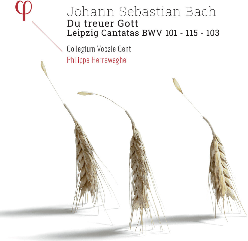 Bach / Philippe Herreweghe / Collegium Vocale - Du Treuer Gott / Leipzig Cantatas [CD]