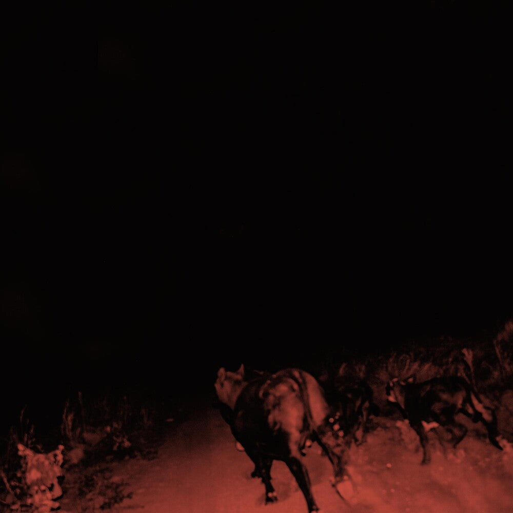 Bambara - Shadow On Everything [CD]