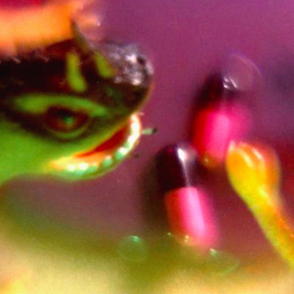 Bush Tetras - Take The Fall [CD]