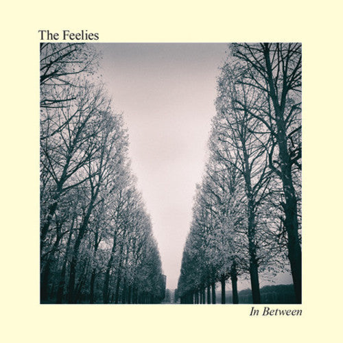 The Feelies - In Between [Vinyl] Vinyl Record
