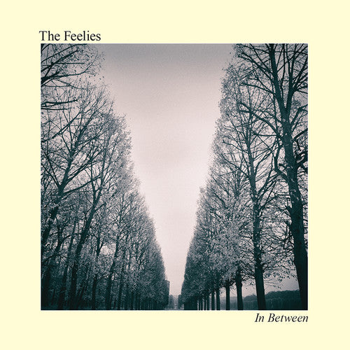 The Feelies - In Between [CD]