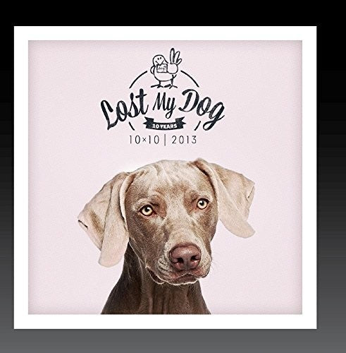Lost My Dog 10x10 2013 / Var - Lost My Dog 10x10 - 2013 [CD]
