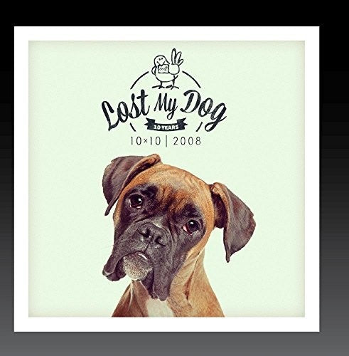 Lost My Dog 10x10 2008 / Var - Lost My Dog 10x10 - 2008 [CD]