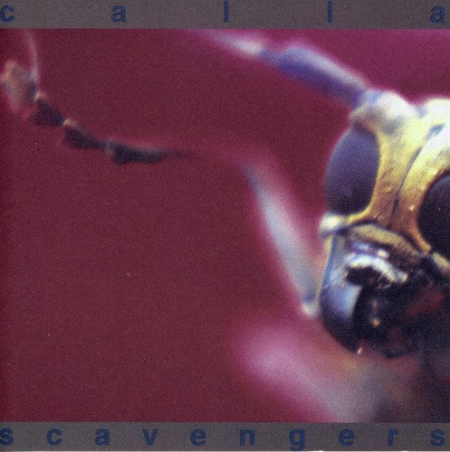 Calla - Scavengers [CD]