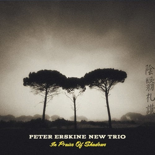 Peter Erskine New Trio - In Praise Of Shadows [CD]
